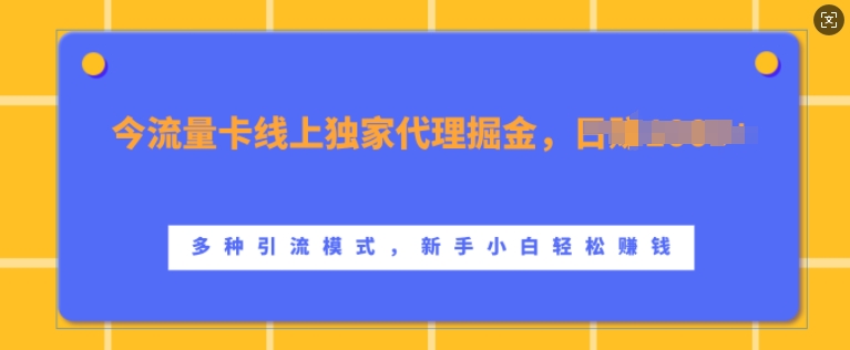 流量卡线上独家代理掘金，日入1k+ ，多种引流模式，新手小白轻松上手【揭秘】-鼎铸网