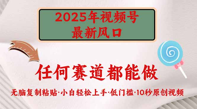 2025年视频号新风口，低门槛只需要无脑执行-鼎铸网