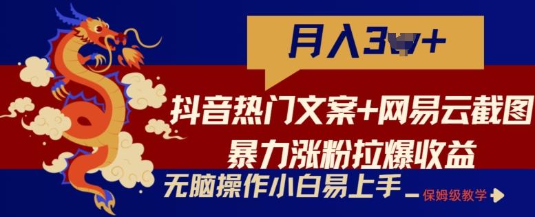 抖音热门文案+网易云截图暴力涨粉拉爆收益玩法，小白无脑操作，简单易上手【揭秘】-鼎铸网