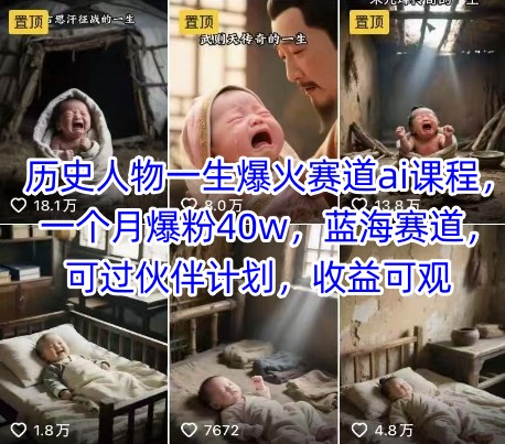 历史人物一生爆火赛道ai课程，一个月爆粉40w，蓝海赛道，可过伙伴计划，收益可观-鼎铸网