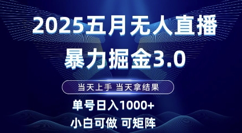 2025五月无人直播暴力掘金3.0，当天上手，当天拿结果，单号日入1k+小白可做可矩阵【揭秘】-鼎铸网