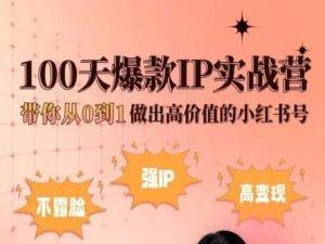 小红书100天爆款IP实战营，带你从0到1做出高价值的小红书号-鼎铸网