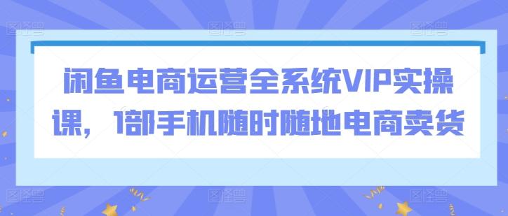 闲鱼电商运营全系统VIP实操课，1部手机随时随地电商卖货-鼎铸网