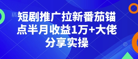 短剧推广拉新番茄锚点半月收益1万+大佬分享实操-鼎铸网