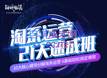 淘系运营21天速成班(更新24年5月)-鼎铸网