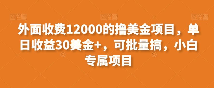 外面收费12000的撸美金项目，单日收益30美金+，可批量搞，小白专属项目-鼎铸网