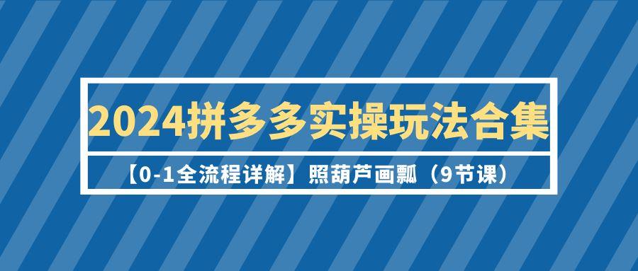 (9559期)2024拼多多实操玩法合集【0-1全流程详解】照葫芦画瓢(9节课)-鼎铸网