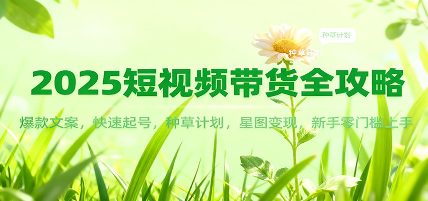 2025短视频带货全攻略：爆款文案，快速起号，种草计划，星图变现，新手零门槛上手-鼎铸网