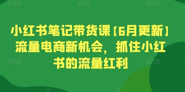 小红书笔记带货课【6月更新】流量电商新机会，抓住小红书的流量红利-鼎铸网