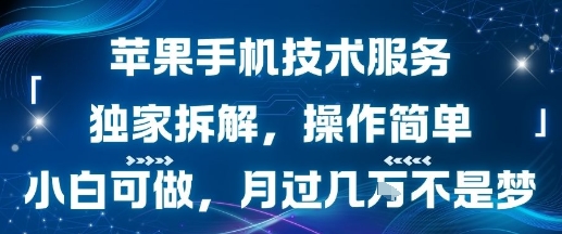 苹果手机技术服务，独家拆解，操作简单，小白可做，月过1W不是梦-鼎铸网
