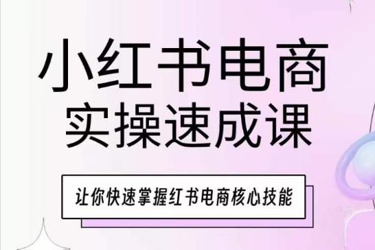 小红书电商实操速成课，让你快速掌握红书电商核心技能-鼎铸网