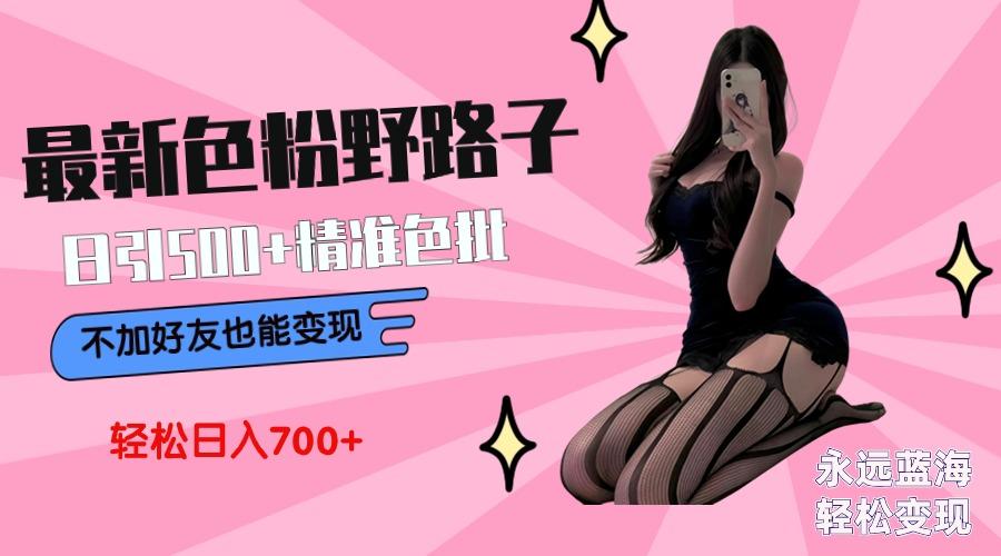 最新色粉变现野路子，日引500+老色批 可不加好友直接变现 小白轻松日入700+-鼎铸网