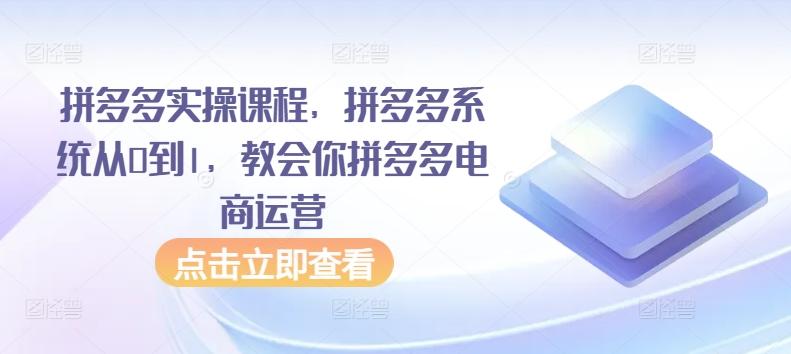 拼多多实操课程，拼多多系统从0到1，教会你拼多多电商运营-鼎铸网