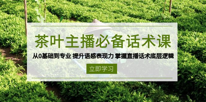 茶叶 主播必备话术课 从0基础到专业 提升语感表现力 掌握直播话术底层逻辑-鼎铸网