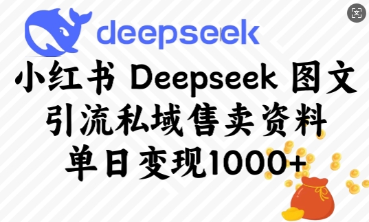 小红书Deepseek图文引流私域售卖资料，单日变现多张-鼎铸网