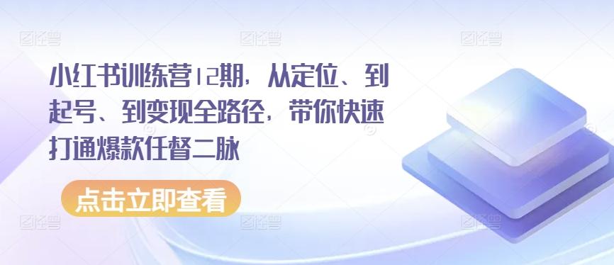 小红书训练营12期，从定位、到起号、到变现全路径，带你快速打通爆款任督二脉-鼎铸网