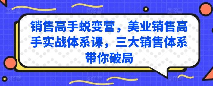 销售高手蜕变营，美业销售高手实战体系课，三大销售体系带你破局-鼎铸网