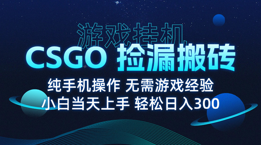 8月最新游戏搬砖，CSGO纯挂机，不需要玩游戏，实现真挂机，月入1W+-鼎铸网