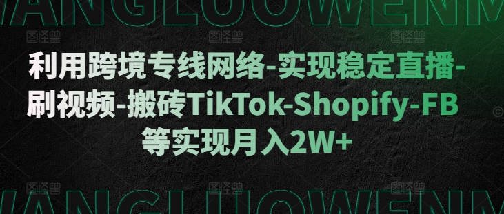 利用跨境专线网络-实现稳定直播-刷视频-搬砖TikTok-Shopify-FB等实现月入2W+【揭秘】-鼎铸网