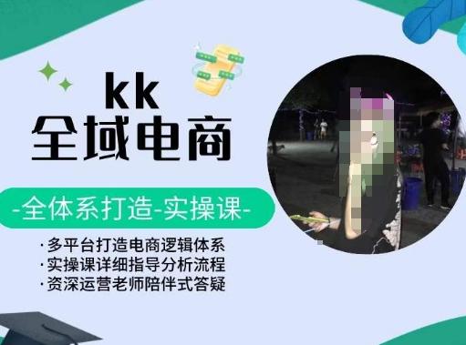 KK全域电商，全体系打造实操课，多平台打造电商逻辑体系-鼎铸网