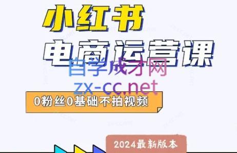 达哥·小红书电商运营(2024版)-鼎铸网