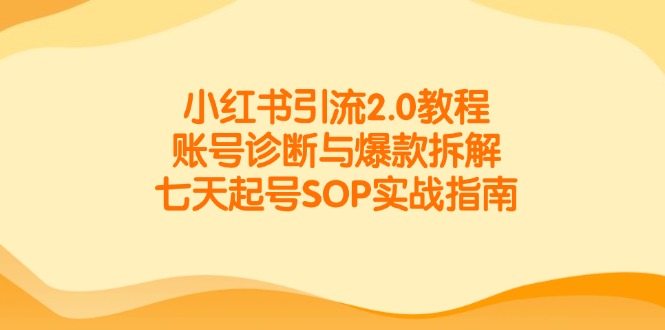 小红书引流2.0教程，账号诊断与爆款拆解，七天起号SOP实战指南-鼎铸网