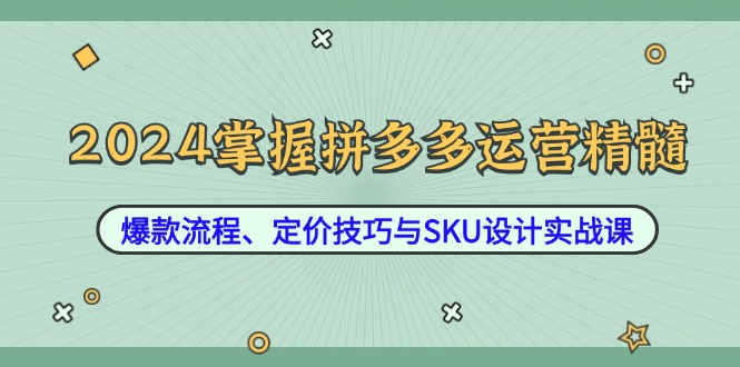 2024掌握拼多多运营精髓：爆款流程、定价技巧与SKU设计实战课-鼎铸网