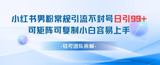 小红书男粉常规引流不封号日引99+变现简单 可矩阵可复制小白容易上手-鼎铸网