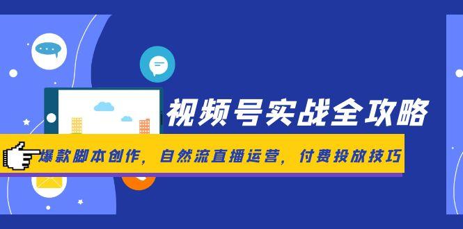 视频号实战全攻略，爆款脚本创作，自然流直播运营，付费投放技巧-鼎铸网