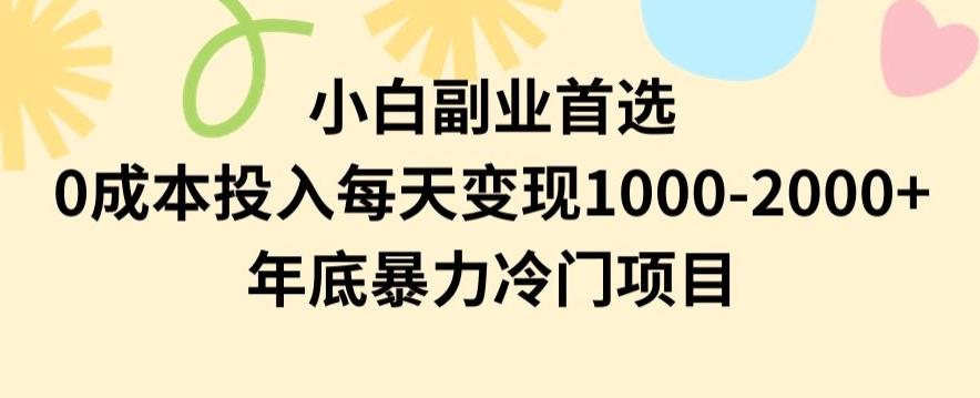 小白副业首选，0成本投入，每天变现1000-2000年底暴力冷门项目【揭秘】-鼎铸网