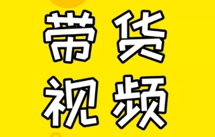 芒果老师·教你做抖音短视频和直播带货-鼎铸网