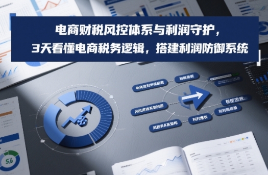 电商财税风控体系与利润守护，3天看懂电商税务逻辑，搭建利润防御系统-鼎铸网