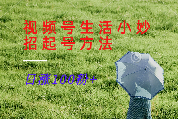 视频号生活小妙招分享赛道， 起号涨粉新方法，日涨100粉-鼎铸网