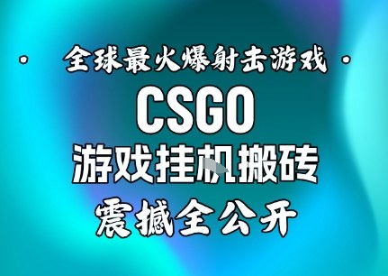 【年底大揭秘】基于全球最火爆的射击CSGO游戏挂G搬砖，日入5张+，震撼公开-鼎铸网