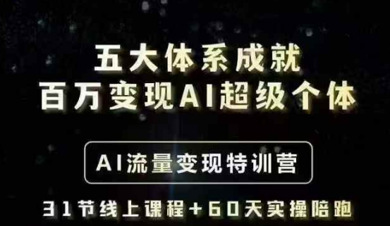 五大体系成就百万变现AI超级个体- AI流量变现特训营，一步一步教你一个人怎么年入百W-鼎铸网