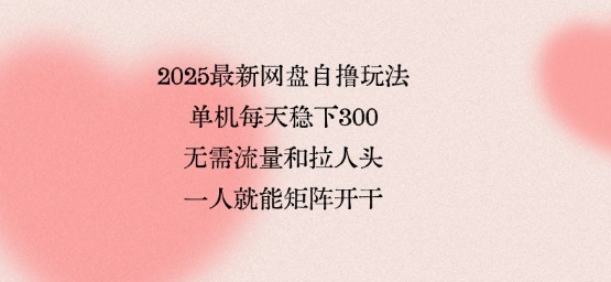 2025最新网盘自撸玩法，单机每天稳下3张，无需流量和拉人头，一个人就可轻松矩阵，全网独一份【揭秘】-鼎铸网