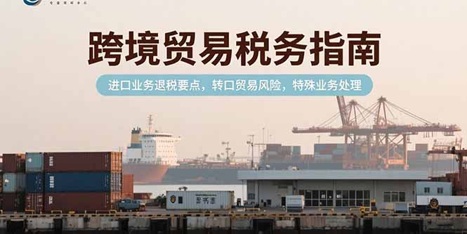 跨境贸易税务指南，进口业务退税要点，转口贸易风险，特殊业务处理-鼎铸网