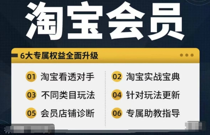 淘宝会员【淘宝所有课程，全面分析对手】，初级到高手全系实战宝典-鼎铸网