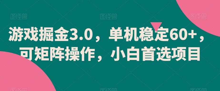游戏掘金3.0，单机稳定60+，可矩阵操作，小白首选项目【揭秘】-鼎铸网