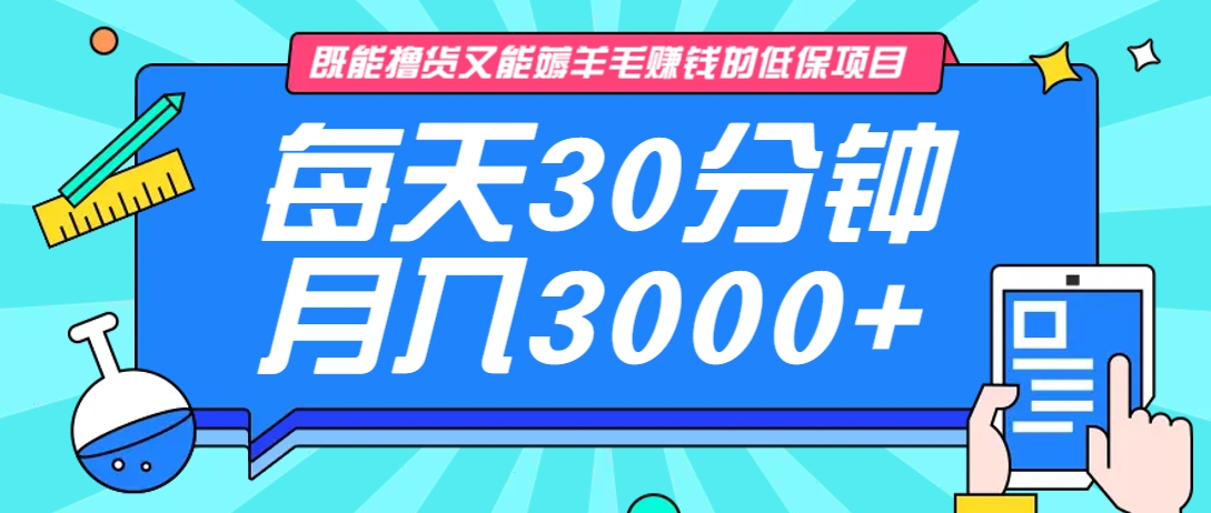 既能撸货又能赚钱的长期低保项目，每天30分钟，多号百分百稳定月入3000+！-鼎铸网