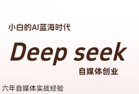 冰冰老师·普通人如何利用Deepseek创业-鼎铸网