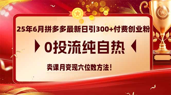 25年6月拼多多最新日引300+付费创业粉，0投流纯自热 卖课月变现六位数方法-鼎铸网