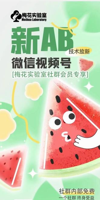 梅花实验室2024年AB技术视频号AB合成破解版-鼎铸网