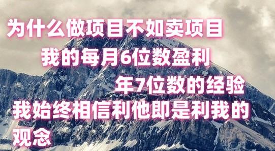 做项目不如卖项目，每月6位数盈利，年7位数经验-鼎铸网