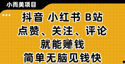 小而美的项目，抖音小红书B站视频点赞、关注、评论就能挣钱，简单无脑立见收益，妥妥的零撸项目【揭秘】-鼎铸网