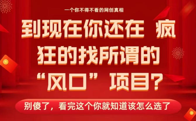 马上26年了，你还在找所谓的风口项目？别傻了，看完这个你全都懂了！【揭秘】-鼎铸网