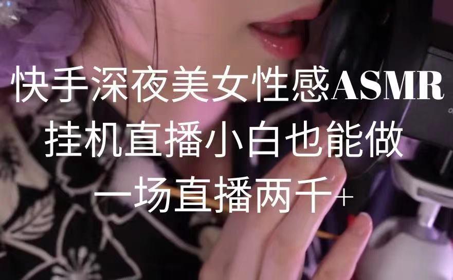 快手深夜美女性感ASMR挂机直播，小白也能做，一场直播两千+-鼎铸网
