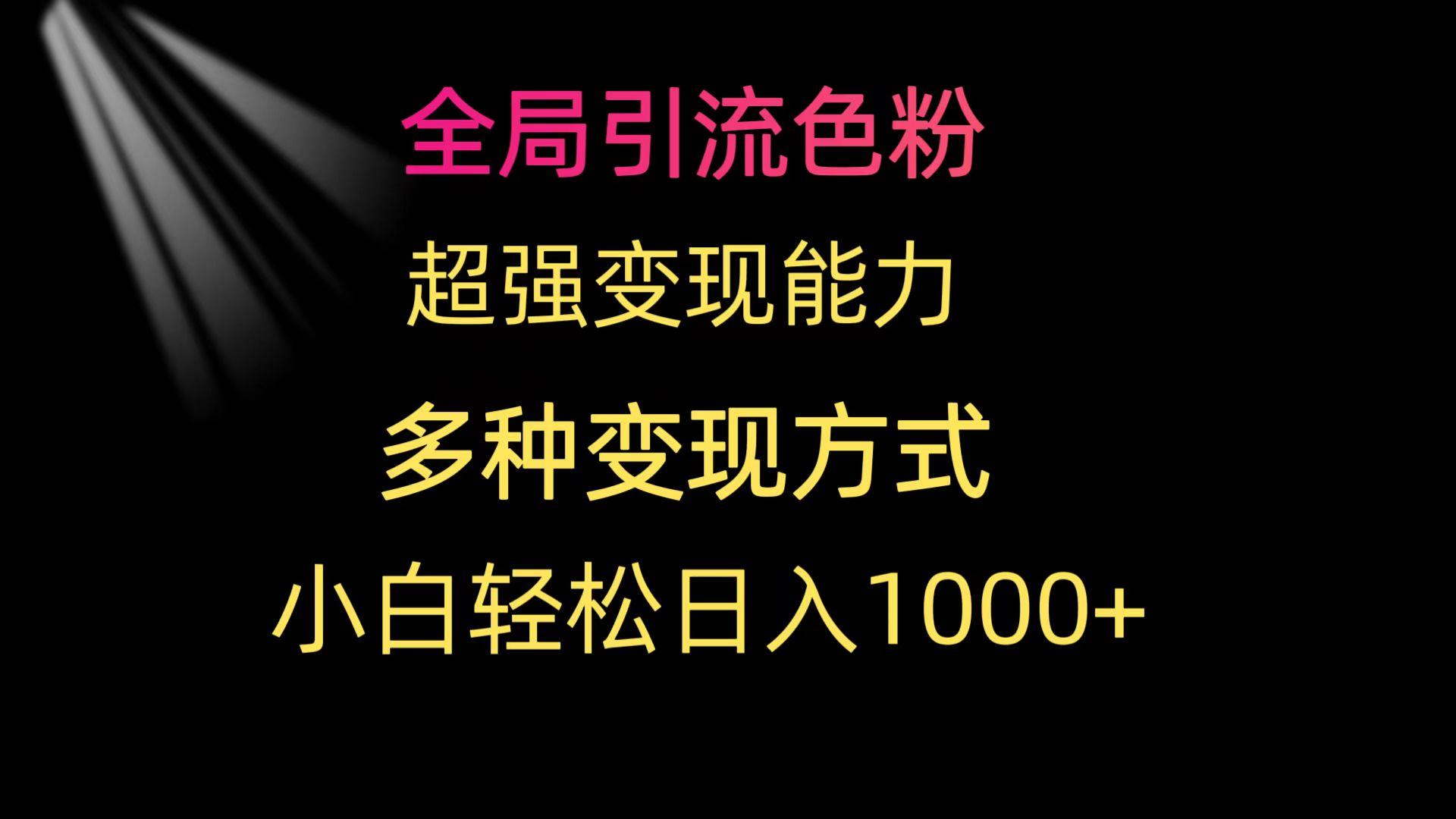 (9680期)全局引流色粉 超强变现能力 多种变现方式 小白轻松日入1000+-鼎铸网