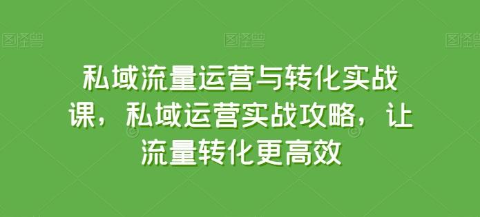 私域流量运营与转化实战课，私域运营实战攻略，让流量转化更高效-鼎铸网