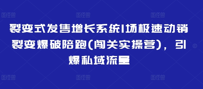 裂变式发售增长系统1场极速动销裂变爆破陪跑(闯关实操营)，引爆私域流量-鼎铸网